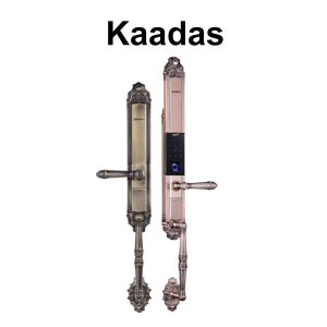 KHOÁ CỬA THÔNG MINH KAADAS 6001