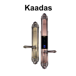 KHOÁ CỬA THÔNG MINH KAADAS 6002