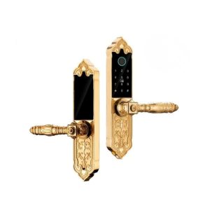 KHOÁ THÔNG MINH TÂN CỔ ĐIỂN XTENO LX04